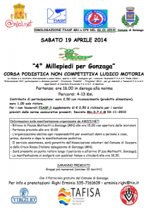 Read more about the article 4° Millepiedi 2014
