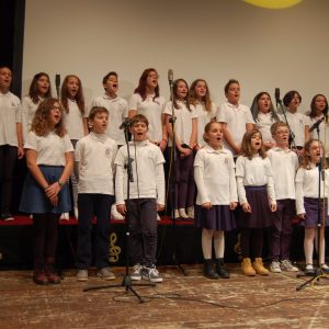 Amici in musica 2015 28