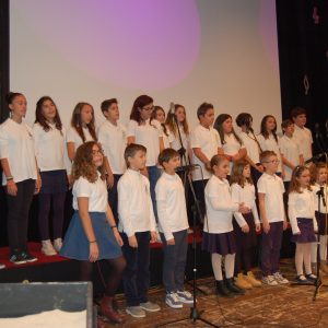 Amici in musica 2015 29