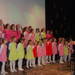 Amici in musica 2015 40