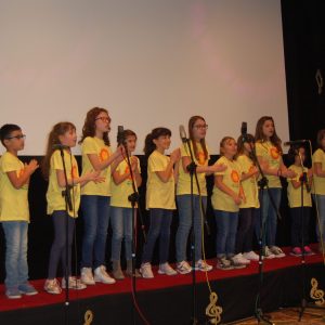 Amici in musica 2015 48