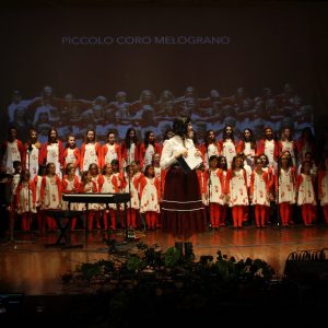 Amici in musica 2017 14