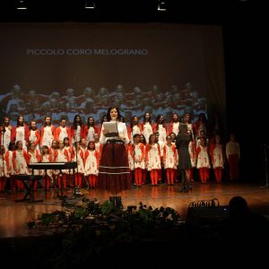 Amici in musica 2017 16